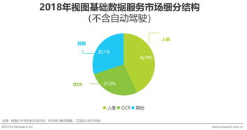 2019年中國人工智能基礎數據服務行業研究報告 數據處理服務篇